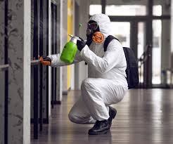 Best Asbestos and Lead Testing During Mold Inspection  in Pottsville, PA